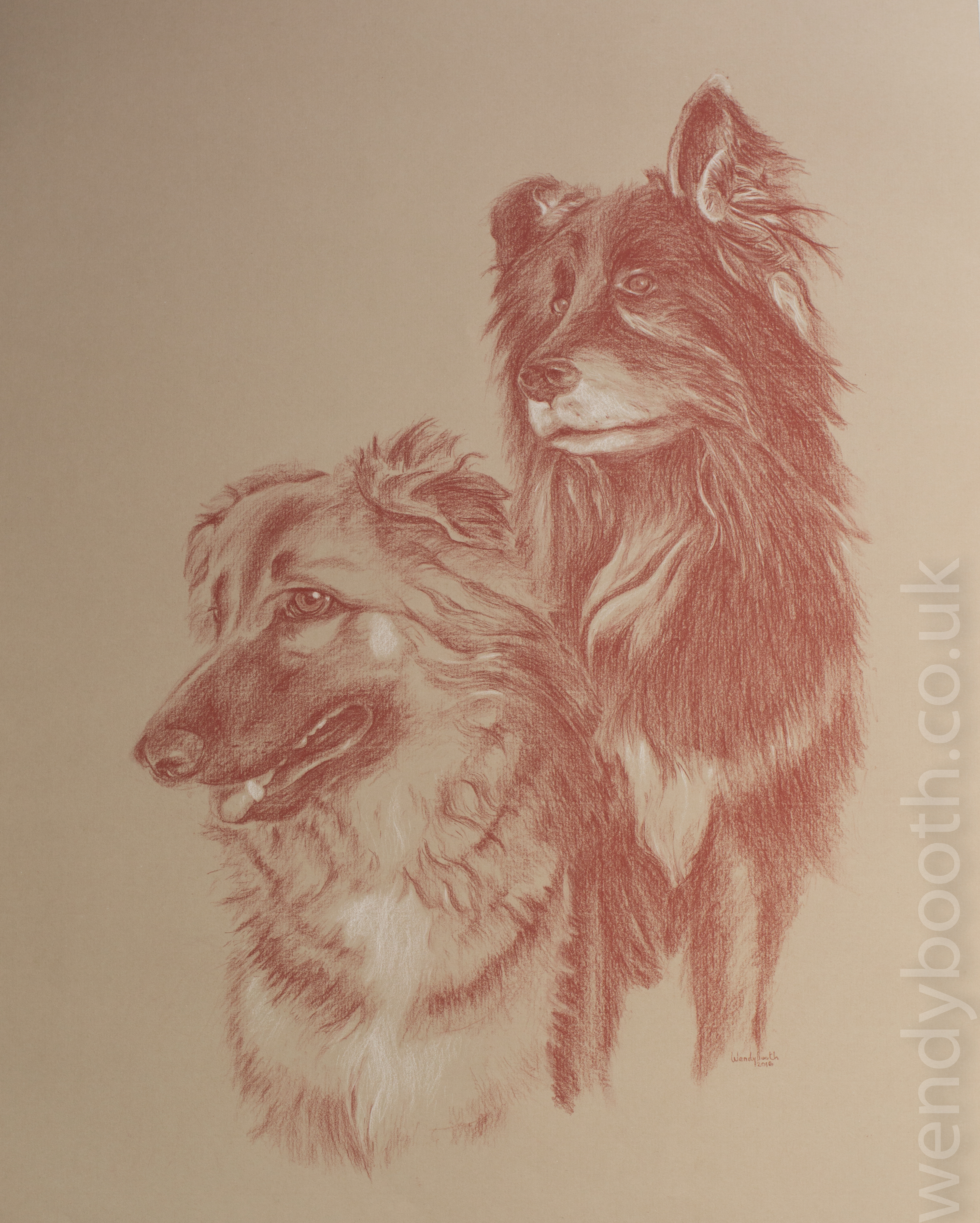 A gorgeous pair of dogs taken from several photographs including this gorgeous pose captured by the client.