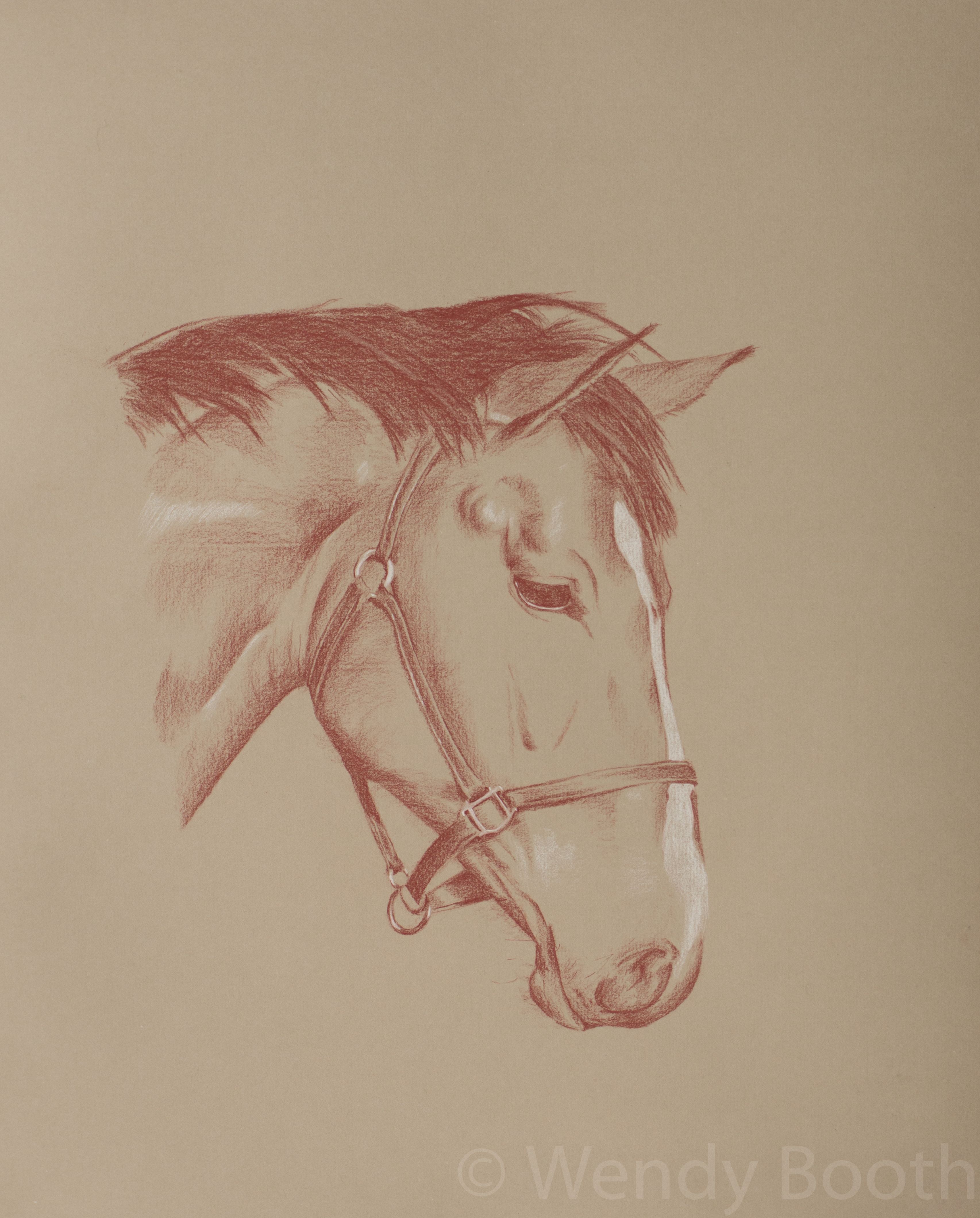 horse portrait commission
